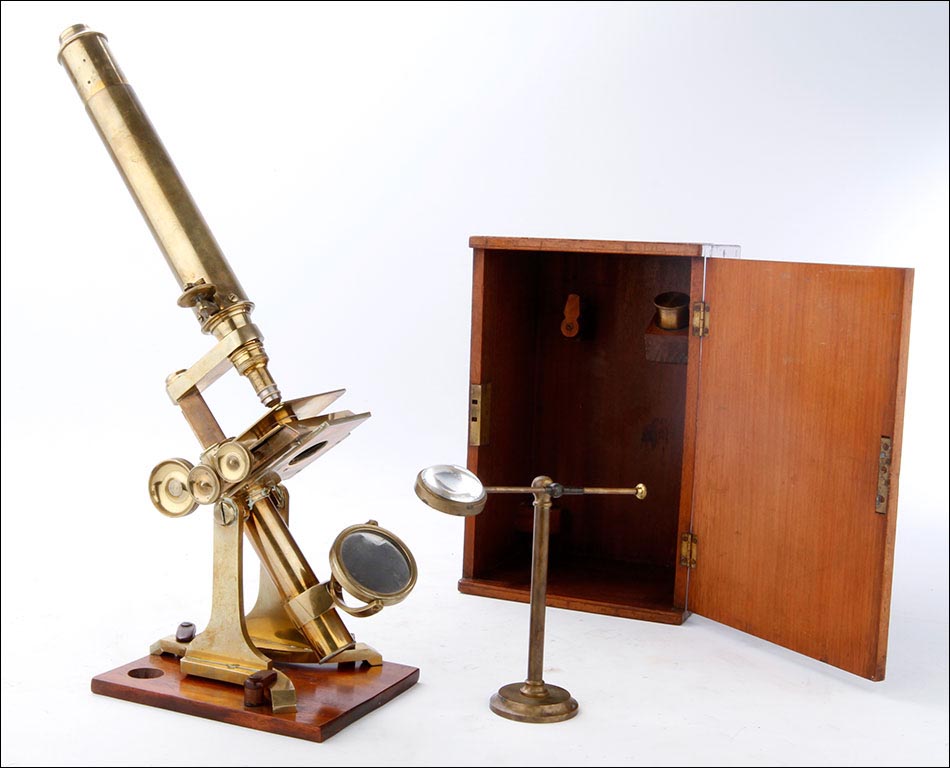 microscopio Newton & Son
