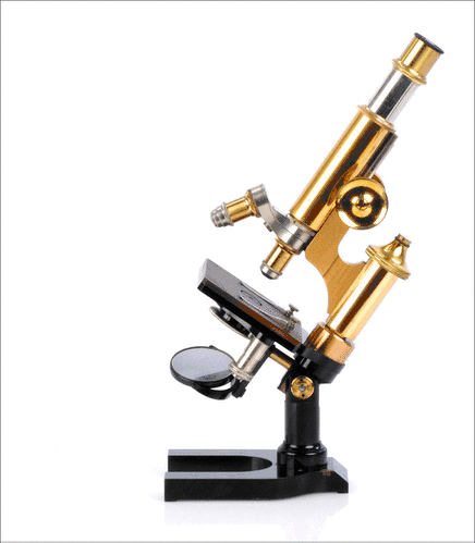 Microscopio Antiguo Ernst Leitz Wetzlar. Alemania, 1908