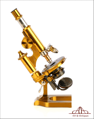Microscopio Antiguo de Latón E. Leitz Wetzlar. Alemania, 1893