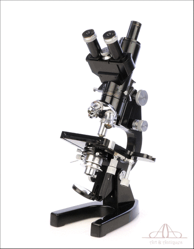 Antiguo Microscopio E. Leitz Wetzlar Binocular y Triocular. Alemania, Años 50