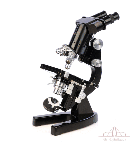 Antiguo Microscopio E. Leitz Wetzlar Binocular y Triocular. Alemania, Años 50