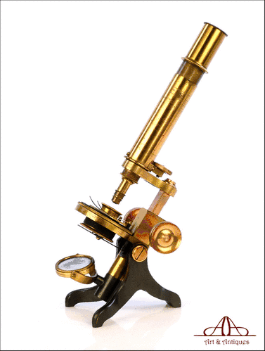 Antiguo Microscopio Compuesto Walter Lawley. Inglaterra, Circa 1880