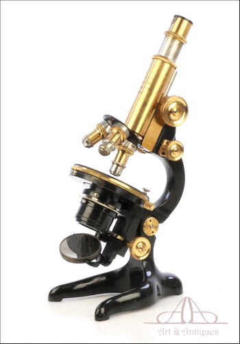 Antiguo microscopio Ernst Leitz Wetzlar. Alemania, 1917
