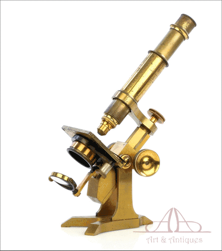 Antiguo Microscopio Compuesto Inglés. Inglaterra, 1890