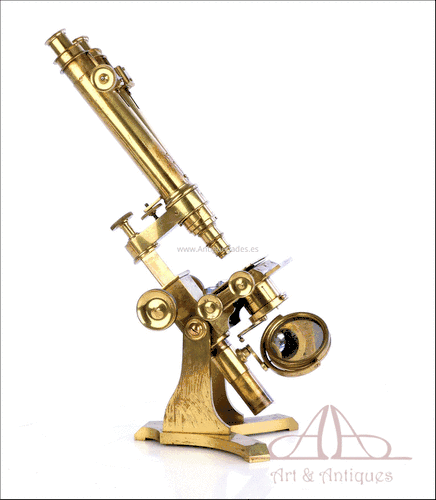 Antiguo Microscopio Binocular. Inglaterra, Circa 1870