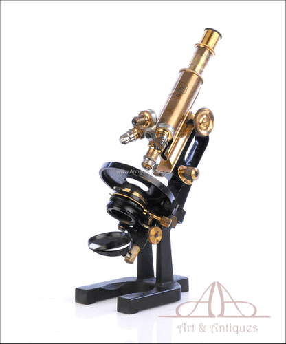 Antiguo Microscopio Carl Zeiss “Asa de Jarra”. Alemania, 1905