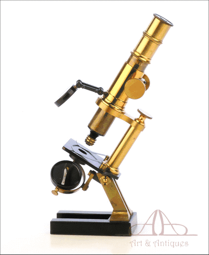 Antiguo y Raro Microscopio Compuesto. Circa 1900