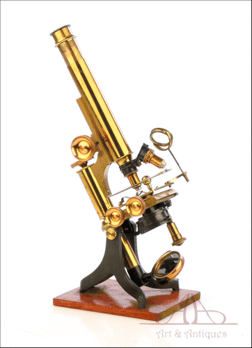 Antiguo Microscopio Compuesto Inglés. Pletina Mecánica. Inglaterra, 1910.