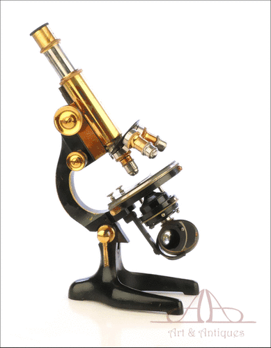 Microscopio Profesional Antiguo Seibert Wetzlar. Alemania, 1910