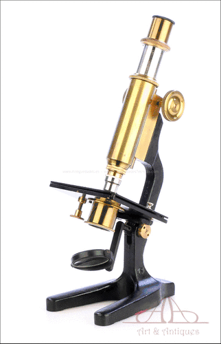 Antiguo Microscopio Rosenbaum Modelo IV. Alemania, 1920