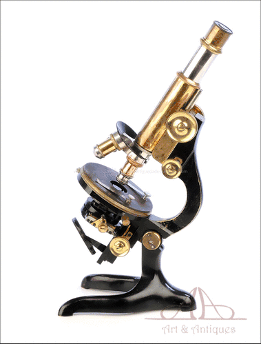 Microscopio Leitz Wetzlar Antiguo. Alemania, 1907
