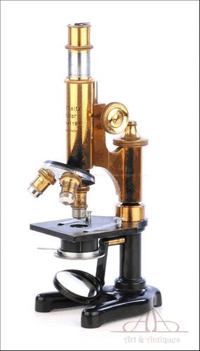 Microscopio Ernst Leitz Wetzlar. Anatomía. Alemania 1911