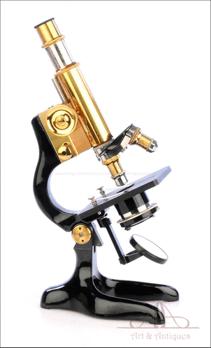 Antiguo Microscopio Ernst Leitz Wetzlar. Alemania, 1923