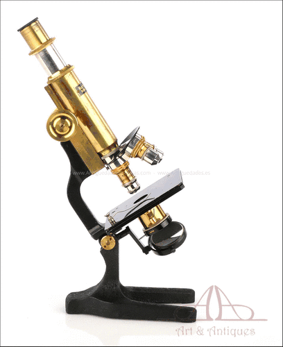 Antiguo Microscopio Heimbrecht. Alemania, Circa 1925