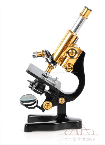 Antiguo Microscopio Leitz Wetzlar. Como Nuevo. Alemania, 1930