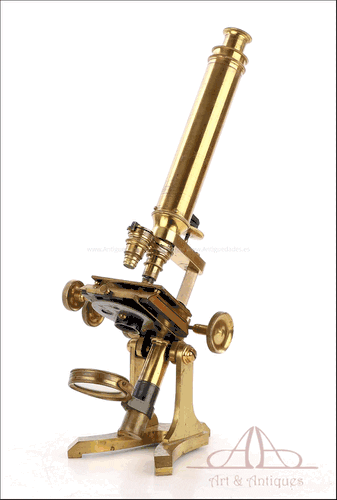 Antiguo Microscopio Monocular Negretti & Zambra. Inglaterra, 1870