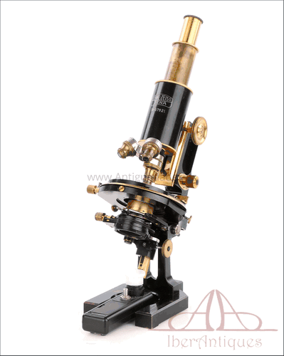 Microscopio Antiguo Carl Zeiss Jena, “Asa de Jarra”. Alemania, Circa 1920
