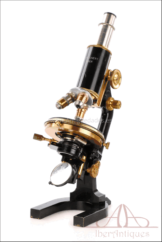 Microscopio Monocular Reichert Antiguo. Viena, Ca. 1920