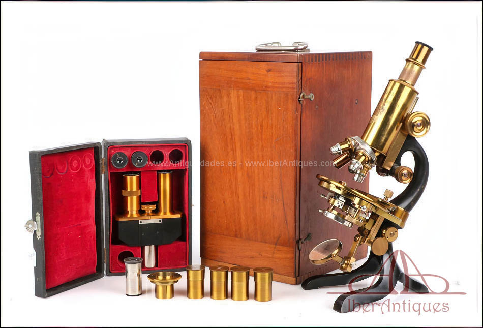 Antiguo Microscopio Profesional de Laboratorio M. Stiassnie en Latón Dorado. Francia, Circa 1920